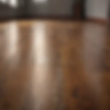 Shine and cleanliness of wooden floor after enzyme treatment