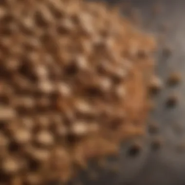 Common Ingredients in Grain Free Dog Food Common ingredients in grain free dog food